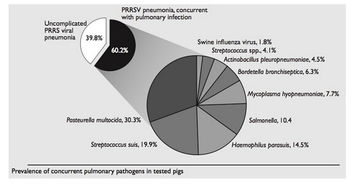 PRRS行業(yè)動(dòng)態(tài)全解析 行情走勢(shì)、企業(yè)管理與行業(yè)趨勢(shì)